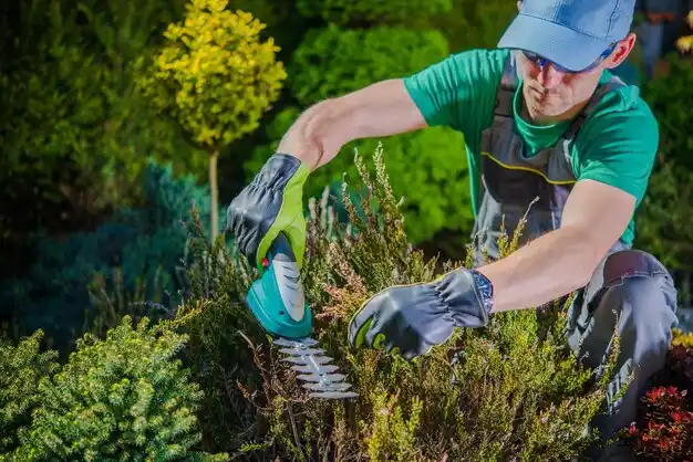 landscaping services Ludlow
